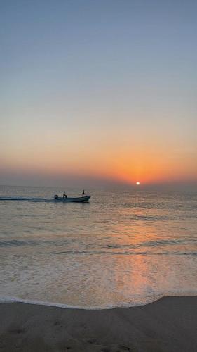 Arabian Sea Marina Ras Alhadd - رأس الحد مرسى بحر العرب in Ras Al Hadd