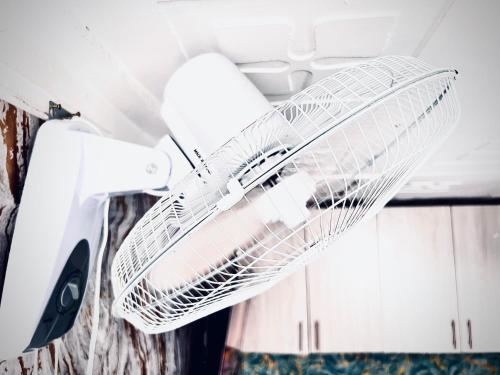 Avian suits in คีซูมู