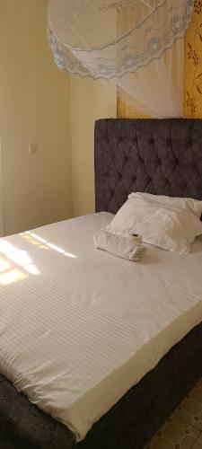 Avian suits in คีซูมู