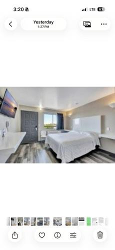 The Mint Motel - image 8