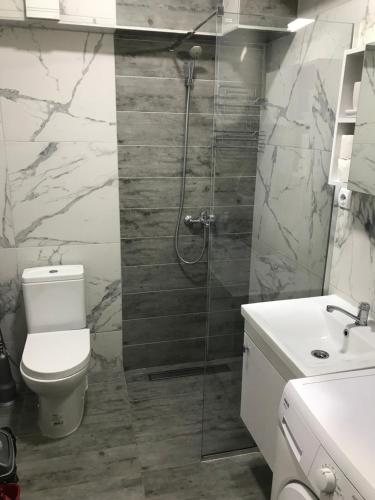First Choice Apartment 12, Skopje (photo 6)
