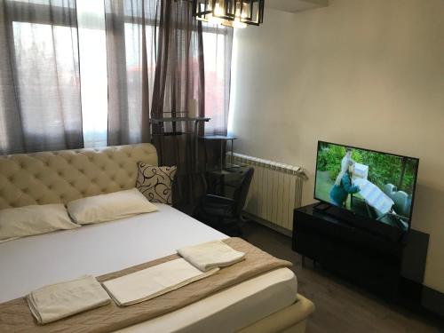 First Choice Apartment 12, Skopje (photo 4)