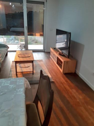 Apartman Tesla