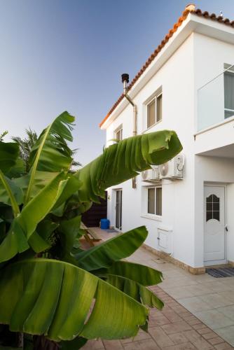 Kert, Carolyn Villa is a Luxury 4-Bedroom Villa with Private Pool in Ayia Napa in Sotira
