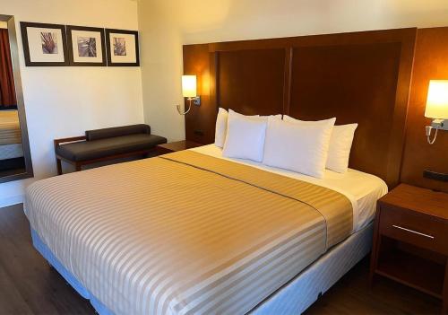 Bed, Valley Inn in Phoenix (AZ)