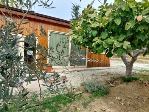 Pervolaris Cottages 2 in Goudi