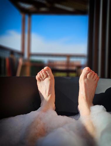 View, The Savvy Retreat - vineyard views in Martinborough