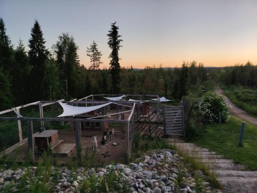 Garden, Sled-Dog Cabin in Apukka