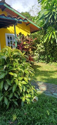 La casita feliz in Las Lajas