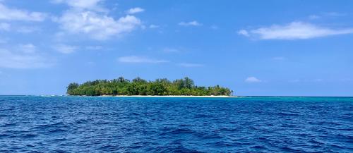 . Dany Island