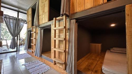 Resting Rabbit Siquijor in Siquijor Island