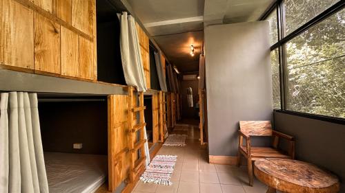 Resting Rabbit Siquijor in Siquijor Island