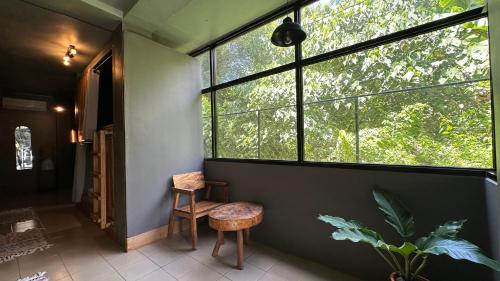 Resting Rabbit Siquijor in Siquijor Island