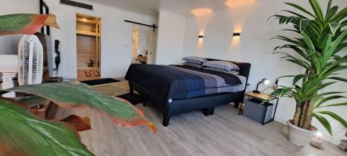 Stylish New Condo in NANA