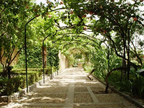 Hotel San Polo - image 5