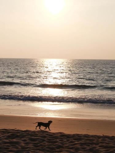 fio's house by the sea