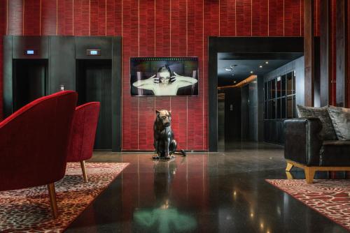 設施, 特拉維夫NYX酒店 (NYX Tel Aviv) in 特拉維夫市中心