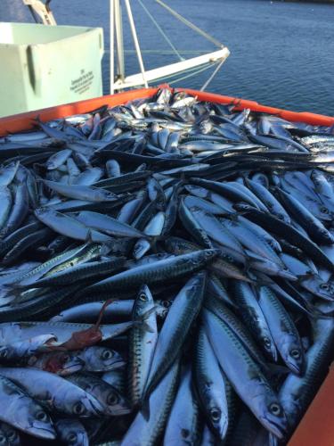 Appartement Design III Port Douarnenez - image 9