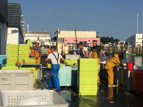 Appartement Design III Port Douarnenez - image 3