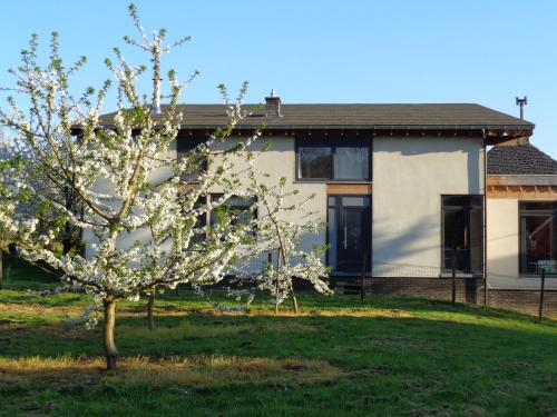 B&B Casa de Paja BnB Sint-Truiden