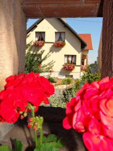Chambre d'hôtes du Zellberg