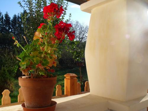  Csutora Vendeghaz in Vasvár