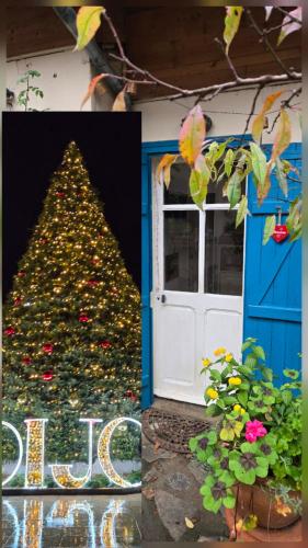 Le Clos du Moulin Dijon , charme et calme proche centre historique, la campagne à la ville - Chambre d'hôtes - Dijon