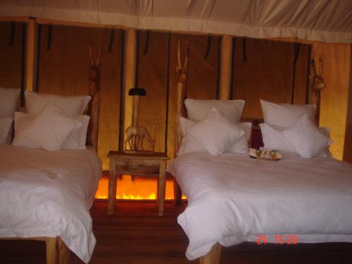 Roika Tarangire Tented Lodge in Tarangira