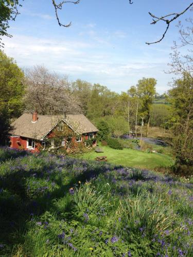 B&b Higher Quantock, , Devon