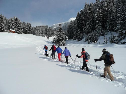 Panorama Wildgrat in Wenns, Österreich