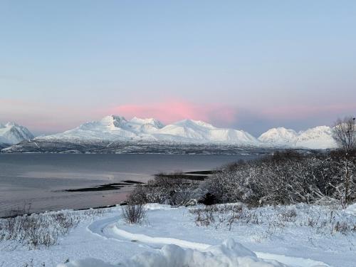 . Above The Arctic circle