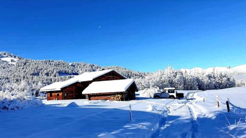 Chalet du Lay Côte 2000 ski in ski out