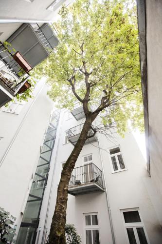 Apartment Nestroygasse 5