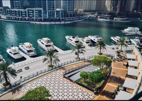 Dubai Marina larivera, Dubaï