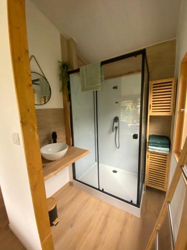 Vannas istaba, Chalet bois cosy indépendant climatisé avec petit jardin (Chalet bois cosy independant climatise avec petit jardin) in Saint-Jean-de-Niost (Rhone-Alpes)