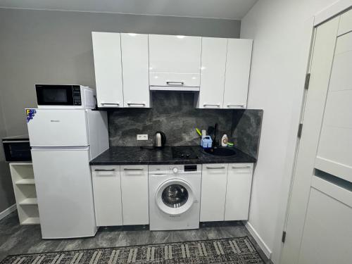 Apartament ultra-central in Edinets