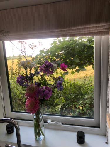Skats, Beautiful one bed Pod in idyllic surroundings in Blackawton