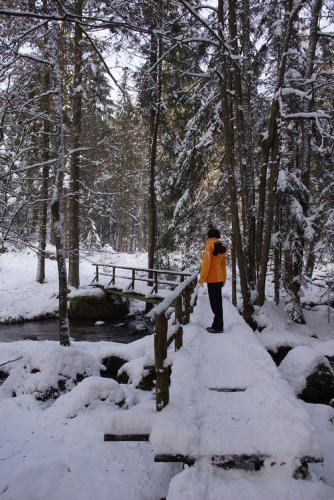 Panoramablick Höllbachtal