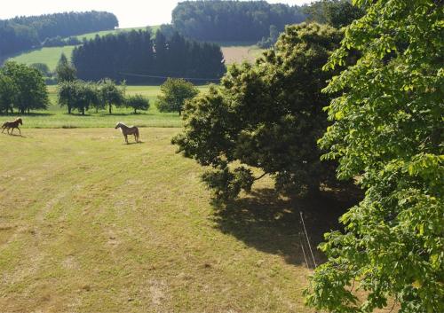 Panoramablick Höllbachtal