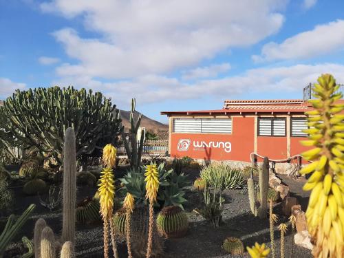 Warung chambre d'hôte Playa de Tebeto