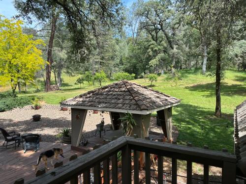 Gold Country Serenity! in Colfax (CA)