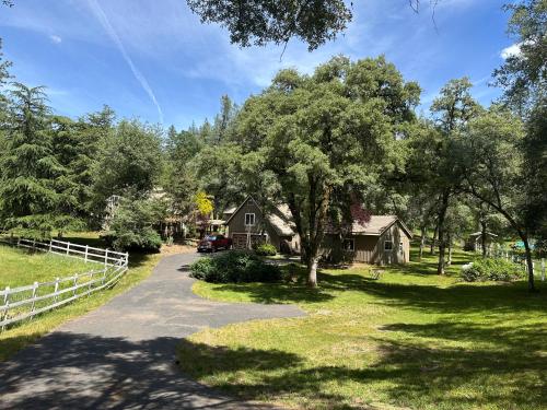 Gold Country Serenity! in Colfax (CA)