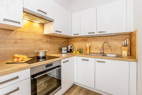 virtuve, Apartmán Šumava-Rejštejn (Apartman Sumava-Rejstejn) in Rejštejn