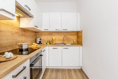 virtuve, Apartmán Šumava-Rejštejn (Apartman Sumava-Rejstejn) in Rejštejn