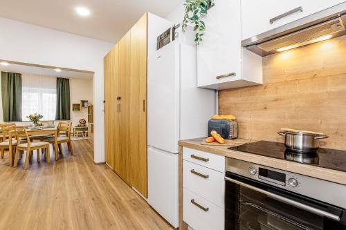 virtuve, Apartmán Šumava-Rejštejn (Apartman Sumava-Rejstejn) in Rejštejn