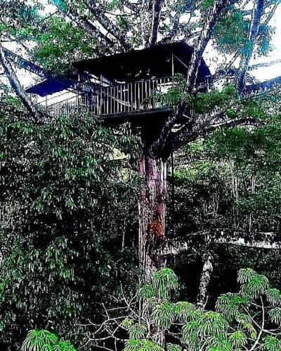 Duni Hostel, Reserva Paway in Mocoa