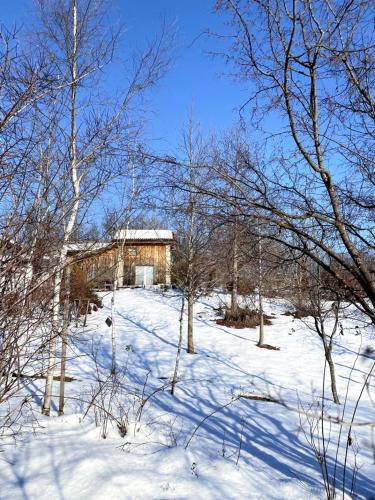 Casetta dipinta Fattoria dei fiori gîte à louer Sedico