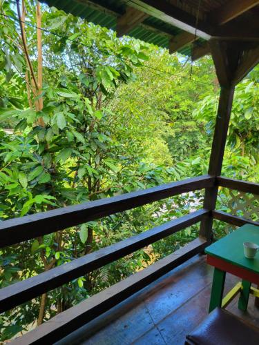 Hot spring bath, Tia's Bamboo Cottages Restaurant, Bar & Sulphur Spa in Saint George