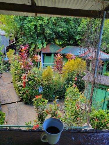 View, Tia's Bamboo Cottages Restaurant, Bar & Sulphur Spa in Saint George