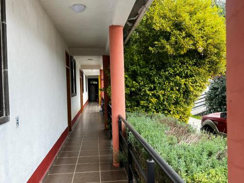 El Agave in Valle de Bravo, Mexico